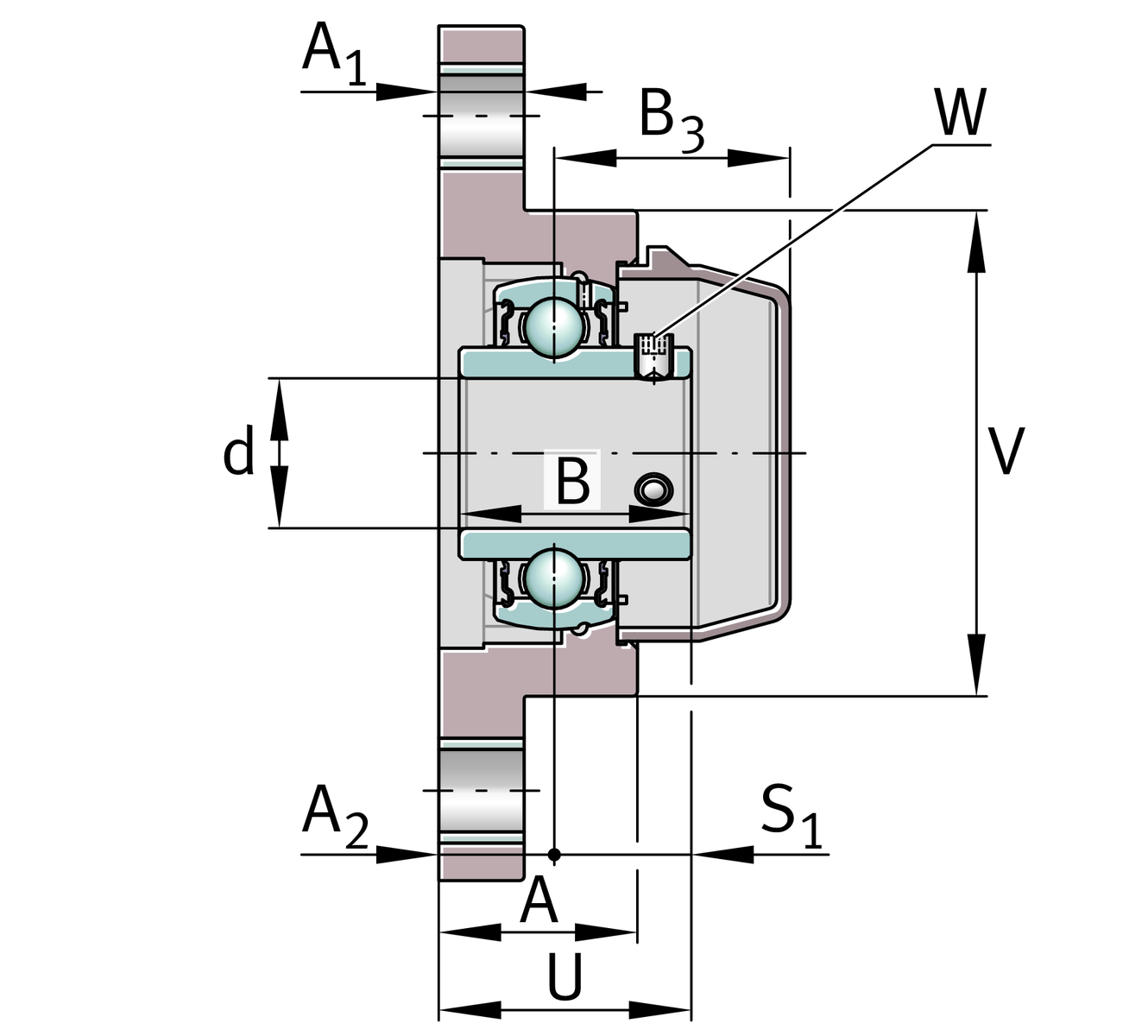 RCJTY30-TV-VA-FD